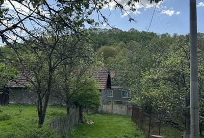 Casă cu 3 camere cu Teren 1000 Mp în Vulcan - 4