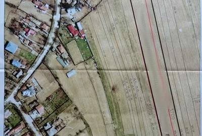 Spațiu comercial, în Gruiu - 2