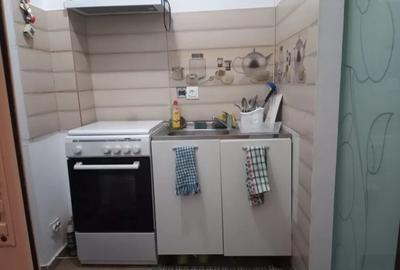 Podu Ros 1000 m distanta de Palas Mall - garsoniera mobilata si utilat - 15