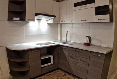 Garsoniera de inchiriat in zona 1 decembrie - 3