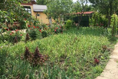 Casa de vanzare la cheie Comuna Traian, Jud. Teleorman Casa de vanzare la cheie Comuna Traian, Jud. Teleorman - 7