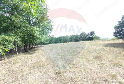 Teren de 834 mp, în Lugoj