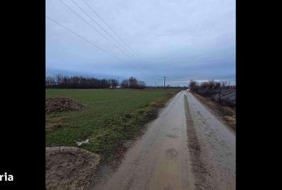 Teren de 520 mp, în Oșorhei - 1