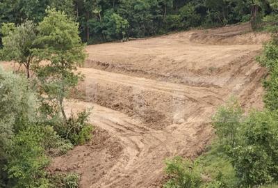 Teren extravilan, 12050 mp, la doar 19 km de orasul Bistrita - 4