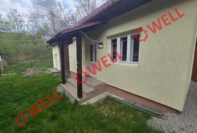 Casă cu 3 camere cu Teren 6000 Mp în Sita Buzăului - 6