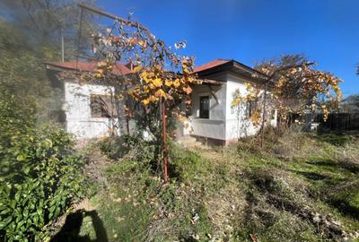 Casa tradi?ionala cu teren 4.500 mp ?i anexe gospodare? - 16