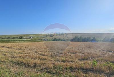 Teren intravilan, 7500 mp in Moara Carp / Strada Eternita... - 15