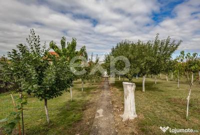 Casă cu 5 camere cu Teren 1866 Mp în Central - 14