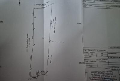 Spațiu comercial, în Central