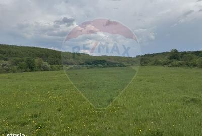 Casă cu 4 camere în Topa Mică - 5