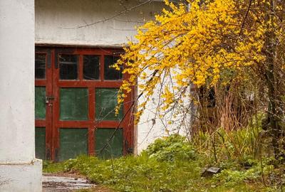 Casă cu 3 camere cu Canalizare în Furnica - 1