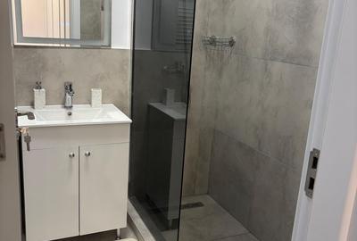 Apartament cu 2 camere semidecomandat, mobilat în Theodor Pallady - 10