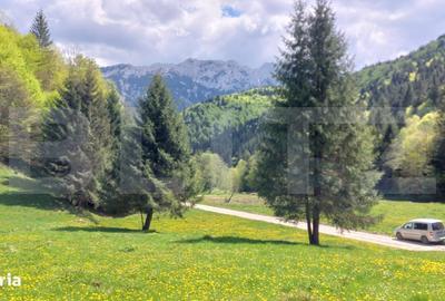 Spațiu comercial, în Central - 4