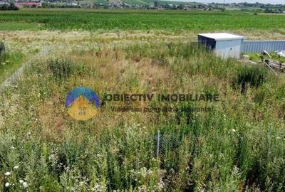 TEREN intravilan de vanzare Dumbrava Rosie- Izvoare - 4