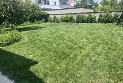 Casă cu 4 camere cu Teren 500 Mp în Central - 3