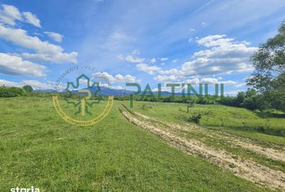 Teren de 2600 mp, în Chirpăr - 8