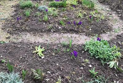 Apartament cu 2 camere decomandat, mobilat în Predeal - 11