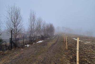 Teren cu priveliste deosebita /muntii Bucegi,in sat Pestera/Moeciu zona La Odai - 10