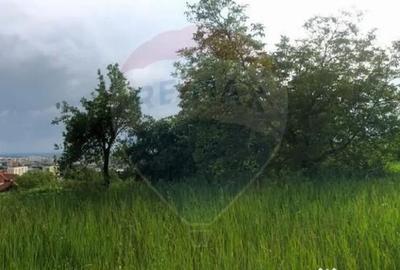 Teren de 2868 mp, în Săsar - 11