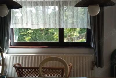 Casa cu peste 1HA pamant in Calimanesti - 10