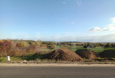 Teren de 1918 mp, în Ardud