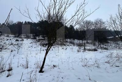 Teren de 2800 mp, în Micești - 3