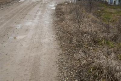 Teren de 5550 mp, în Dragomirești - 3