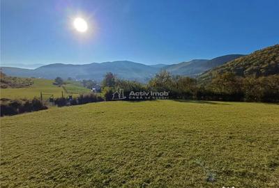 Teren de 2455 mp, în Rășinari - 6