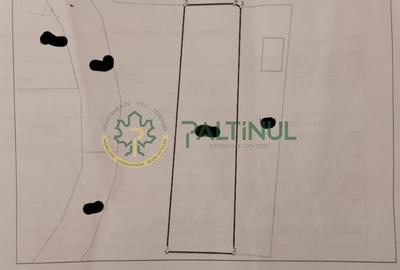 Teren de 1.550 mp de vânzare în Săcădate, Avrig - 4