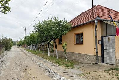 Teren de 600 mp, în Gepiu - 3