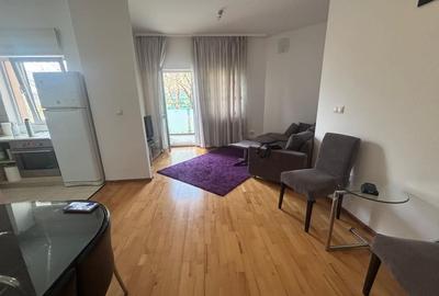 Apartament cu 2 camere, mobilat în Copou - 1