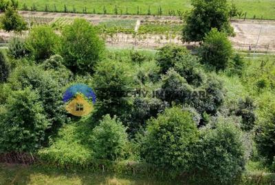 Teren intravilan com. Alexandru cel Bun- Viisoara - 6