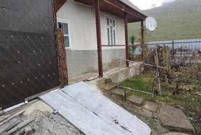 Casă cu 3 camere în Bălțata - 1