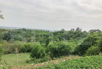 Teren intravilan, parcelat 7600+5700+1400, Manastirea Dealu - 4