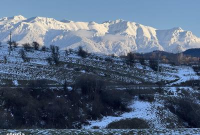 Spațiu comercial, în Central