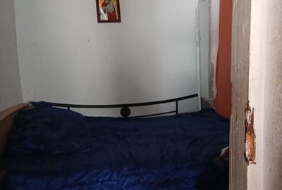 Casa langa Gradina Cismigiu - 4