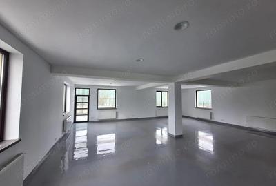 Spațiu comercial, de 440 mp, în Ștefăneștii de Jos - 3