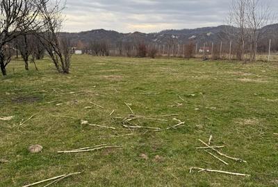 Teren de 5200 mp, în Brebu - 2