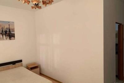 1 Camera Podu Ros - Granit - 5