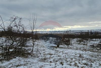 Teren 10,000mp Rada?eni / ?oseaua DN2-E85, jude?ul S... - 10