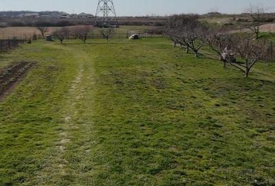 Spațiu comercial, în Cihei - 3