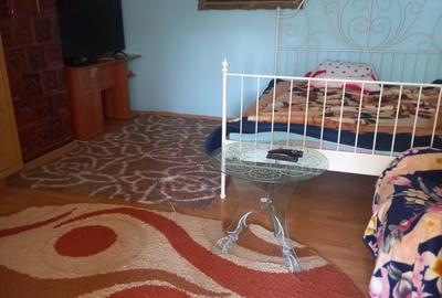 Casă în Camena - 3