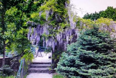 Casă cu 7 camere cu Piscina în Săftica - 8