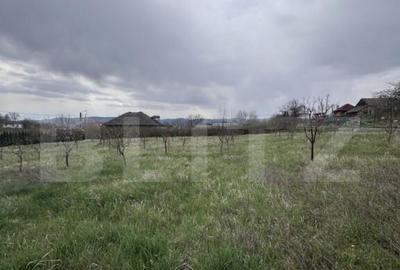 Casa de vanzare, zona deosebita , teren generos,Sali? - 8