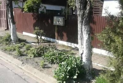 Casă cu 3 camere în Central - 2