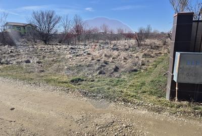 Teren de Vanzare in Gulia - Tartasesti | 2.760 mp | OPORTUNITATE! - 3