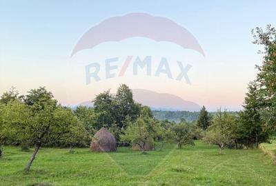 Teren in cea mai turistica localitate din Romania - Breb... - 6