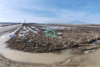 Teren Construcții intravilan de 10480 mp, în Periferie - 1