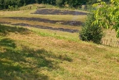 Casă locuibilă + teren 8900 mp, utilități, anexă, livadă-toate actele. - 6