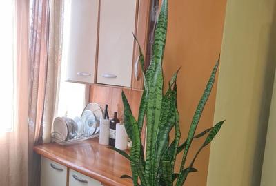 Apartament cu 2 camere decomandat în Est - 7